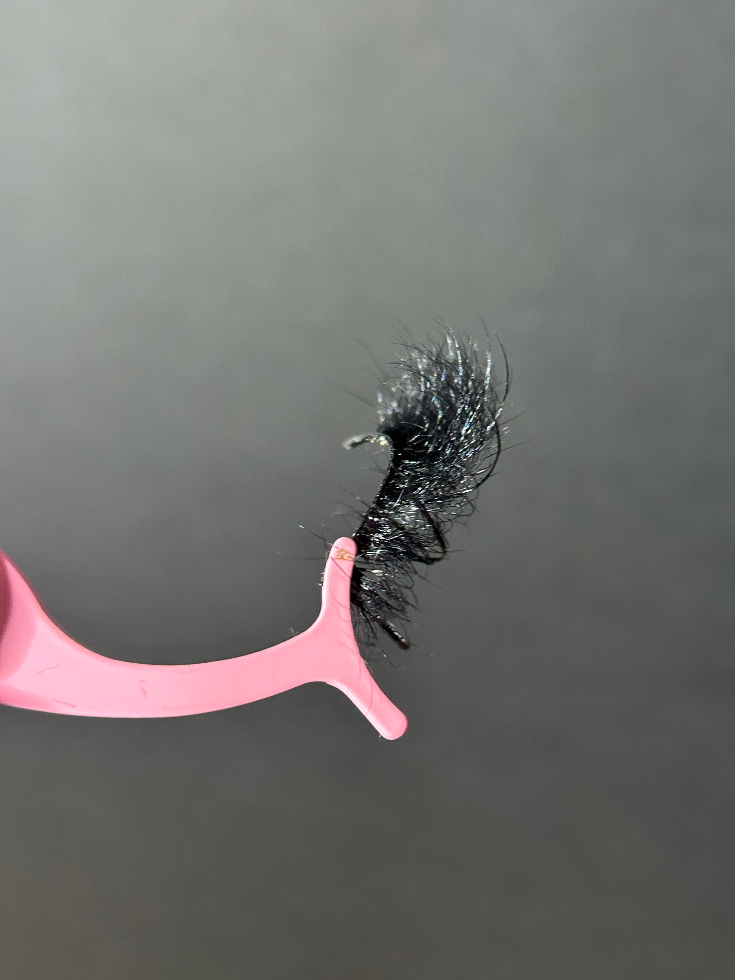 Wispy Strip Lash Book